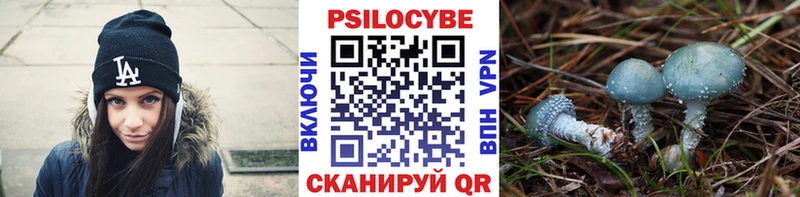 Галлюциногенные грибы ЛСД  кракен ССЫЛКА  Калининец  продажа наркотиков 